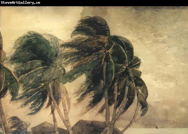 Winslow Homer A Norther,Key West (mk44)